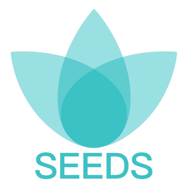 Pre-SEEDS Foundational Program